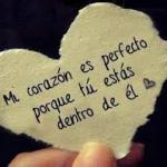 Fatima Diocelin Jose Fatima Diocelin Jose